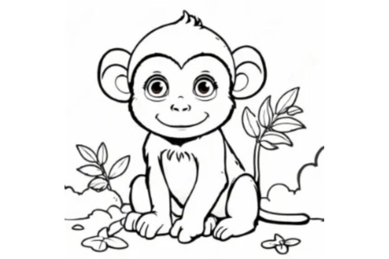 drawing_uqp7yroofp0= monkey